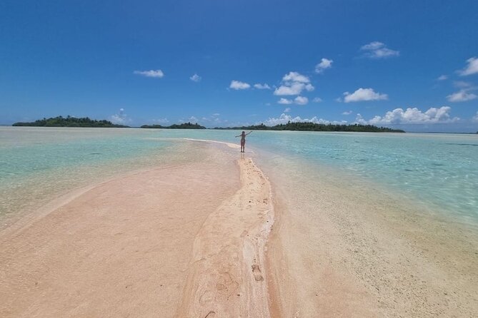 The Blue Lagoon by private boat - Starting at Tiputa Pass with dolphins and coral