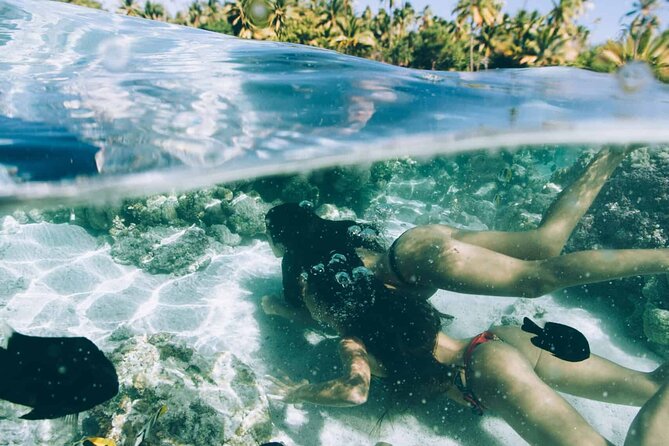 The Vanilla tour of Taha'a in a comfortable outrigger canoe - Snorkeling at the Coral Garden