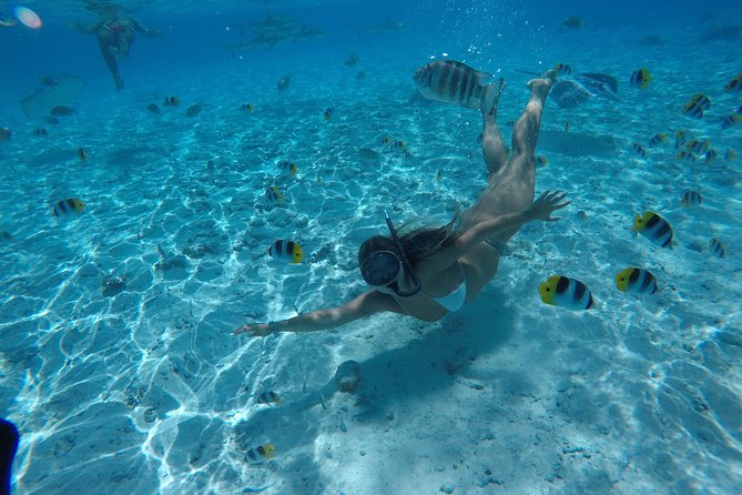 Toa Boat Bora Bora Private Lagoon tour On Ambassador Boat - Polynesian stories and a more personal guide