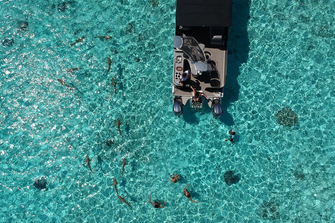 Toa Boat Bora Bora Private Lagoon Tour On Entertainer Bar Boat - A private start on Bora Bora’s lagoon