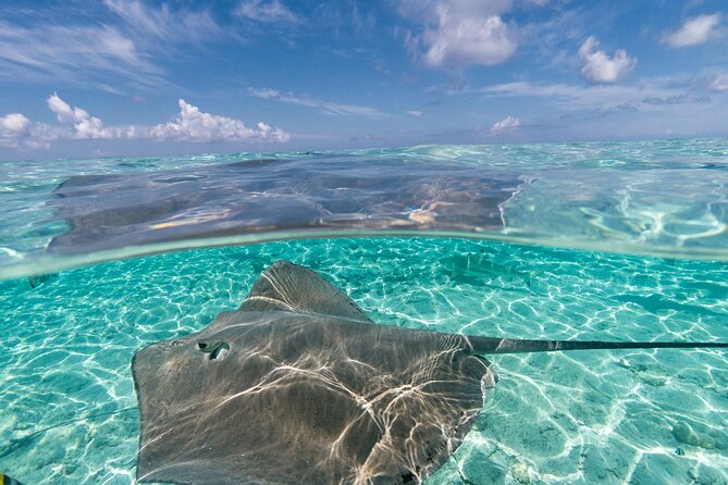 Toa Boat Bora Bora Private Lagoon tour On Majestic Pontoon Boat - Drinks, fruit, and the details worth confirming