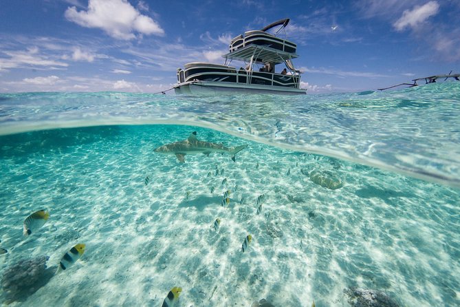 Toa Boat Bora Bora Private Lagoon tour with Lunch on Ambassador Boat - Cruising through the turquoise lagoon