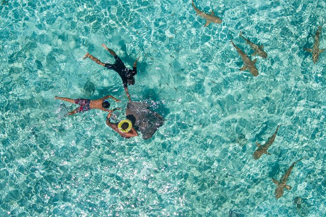 Toa Boat Bora Bora Private Lagoon tour with Lunch On Majestic Pontoon Boat - A lunch of fish, skewers, and tropical fruit