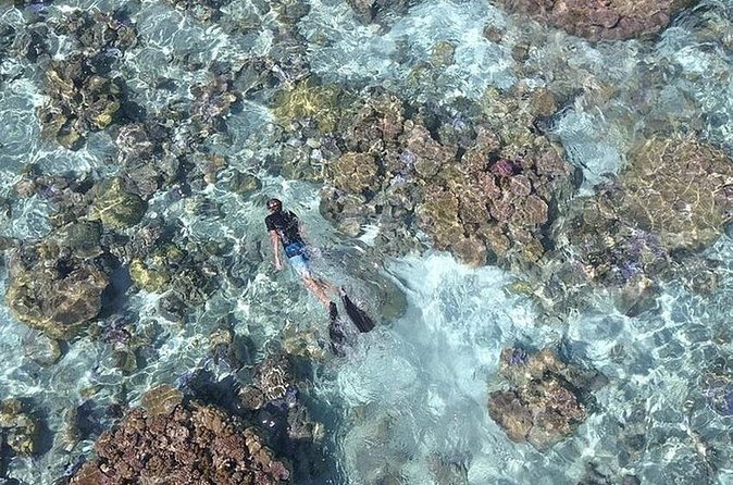 Tohora Bora Bora Snorkeling Lagoon Tours - A small group with real safety value