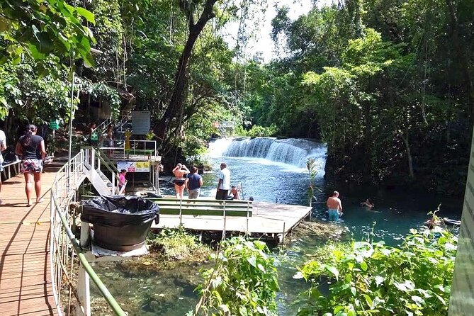 Tropical Splash Tour - Local fruit and island snacks along the way