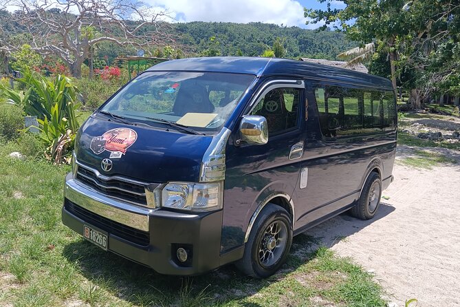 Turtle Encounter with Yumi Tours - From Port Vila to Back to Eden