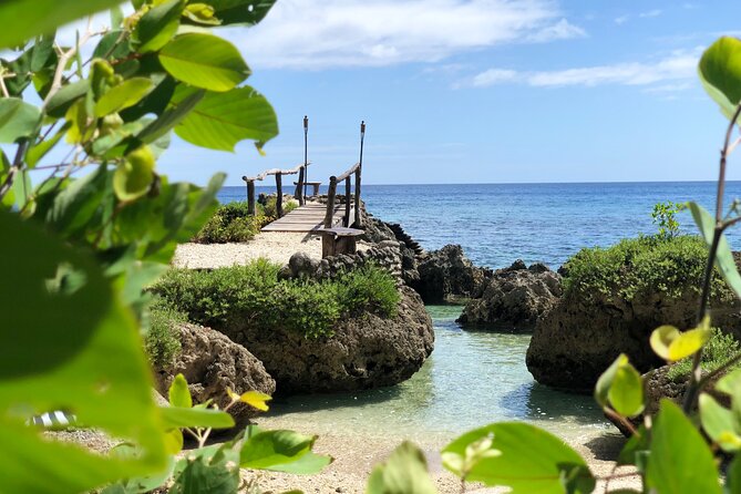 Turtle Encounter with Yumi Tours - The turtle encounter is a bonus, not a promise