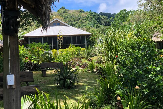 Turtle Encounter with Yumi Tours - What the four-hour schedule means for you
