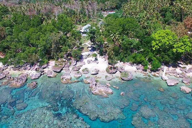 Turtle Encounter with Yumi Tours - Is $90 good value?