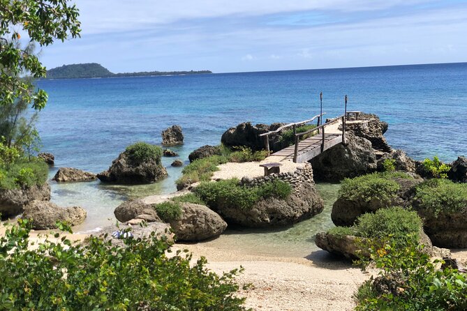 Turtle Encounter with Yumi Tours - Who will enjoy this snorkel most?