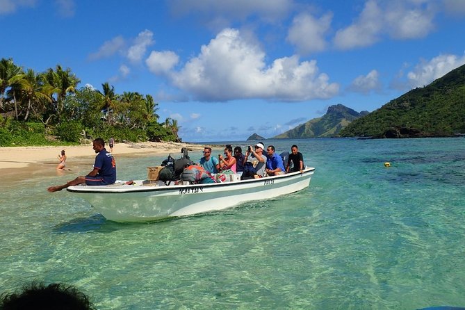 Ultimate Encounter Snorkel with Sharks in Fiji - Safety, confidence, and the shark guarantee