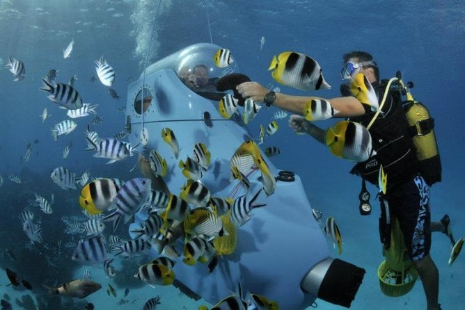 Underwater Scooter - Thirty minutes among Bora Bora’s marine life