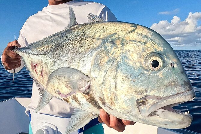 Unique in Raiatea: discover the lagoon, fish, cook, enjoy! - Domaine Pari Pari and the Scenic Stops