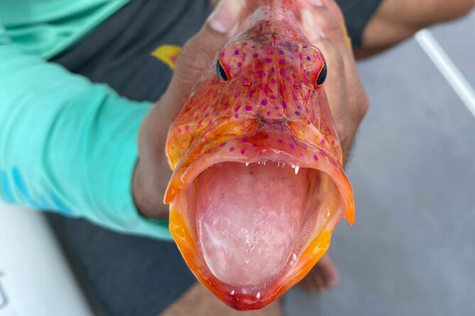 Unique in Raiatea: discover the lagoon, fish, cook, enjoy! - What the $340 Price Buys You