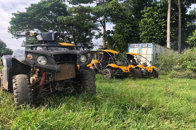 Vanuatu Buggy Adventure with Yumi Tours - Key points to know before you book