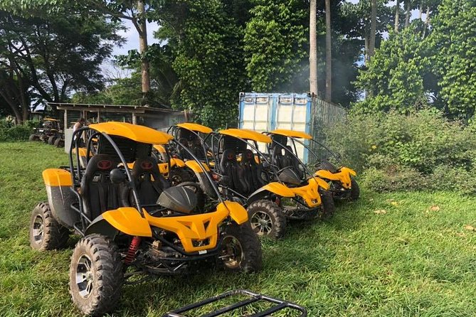Vanuatu Buggy Adventure with Yumi Tours - The buggy ride: one hour of open-air fun
