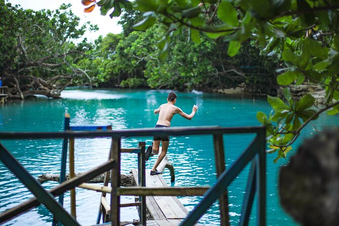 Vanuatu Cultural Village, Waterfalls, Turtles and Blue Lagoon - Eton Beach and the water-based portion