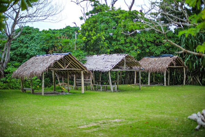 Vanuatu Cultural Village, Waterfalls, Turtles and Blue Lagoon - Blue Lagoon: the longest and most relaxed stop