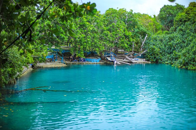 Vanuatu Cultural Village, Waterfalls, Turtles and Blue Lagoon - Is $160 a fair price?