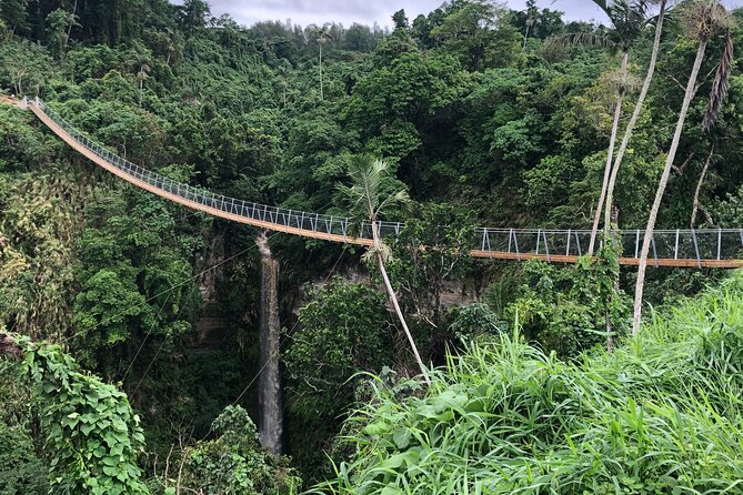 Vanuatu Jungle Zipline, Swing and Skybridge Combo with Transfer - Fitness, clothing and group size
