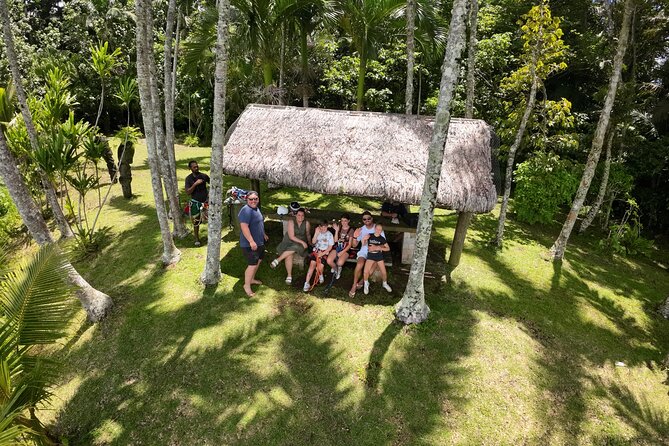 Vanuatu Skybridge with Transfers - Watching the zipline and Giant Swing