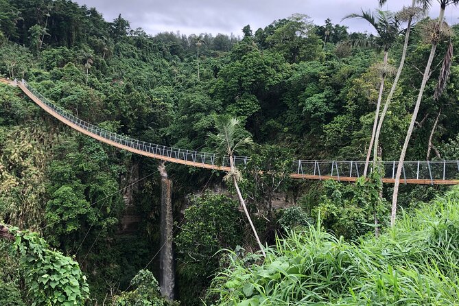 Vanuatu Skybridge with Transfers - How much value do you get for $43.03?
