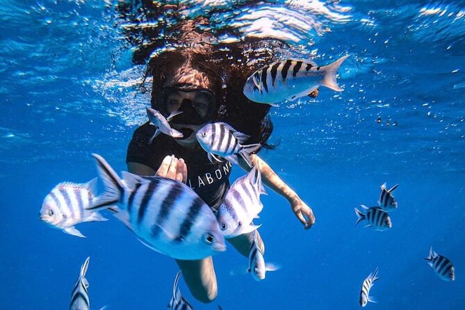 Want to escape? Treat yourself to a snorkeling session in Tahiti! - Key points to know before booking