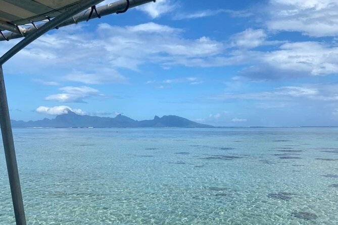 Want to escape? Treat yourself to a snorkeling session in Tahiti! - What is included, and what you should bring