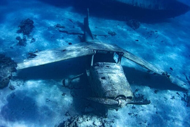 Want to escape? Treat yourself to a snorkeling session in Tahiti! - A guide who shapes the experience