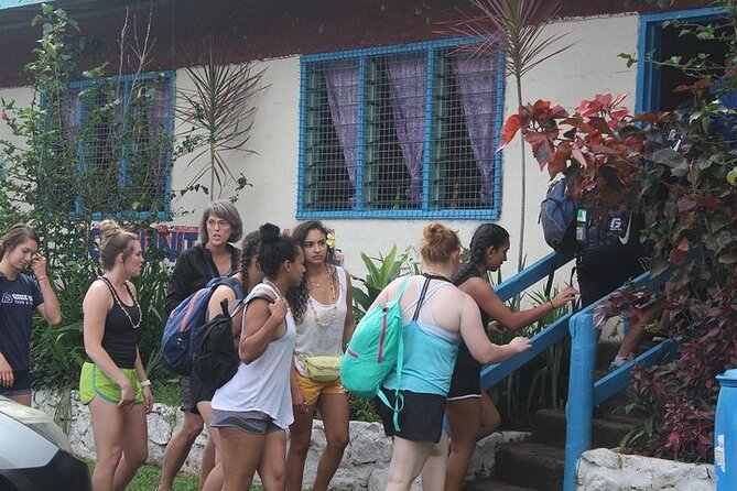 Waterfall and Fijian Village Tour with Light Lunch ex Nadi Area Hotels - Entering a Fijian village through the kava ceremony