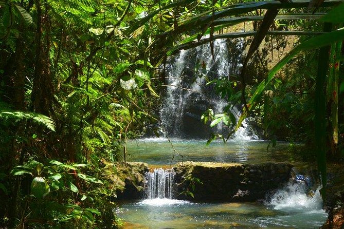 Waterfalls and Nature Tour - Waisila Falls and the rainforest trail