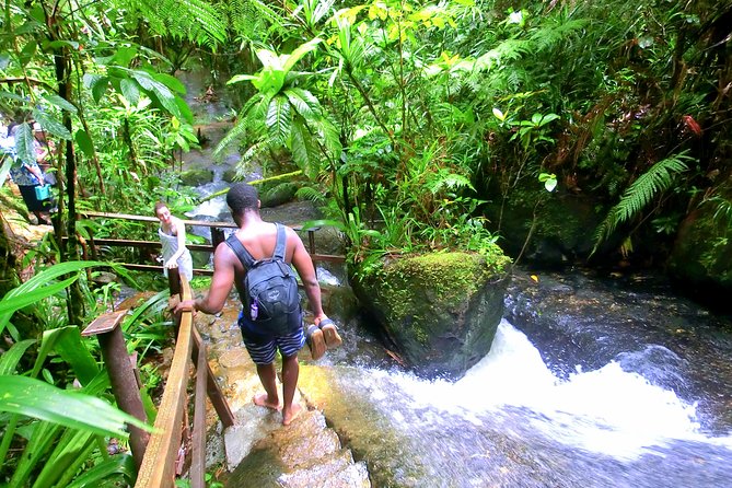 Waterfalls and Nature Tour - What $91.72 buys you