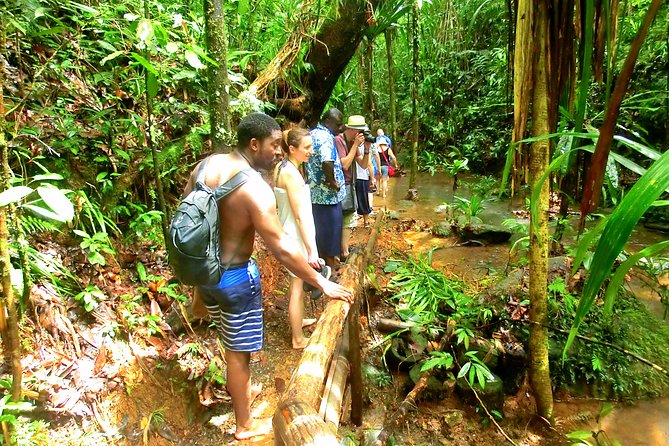 Waterfalls and Nature Tour - How strenuous is the walk?