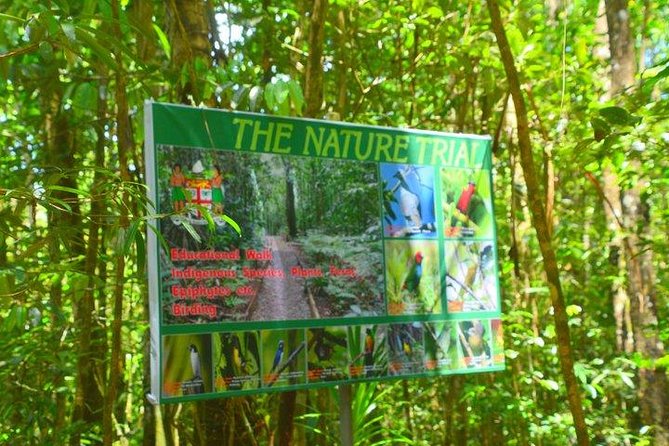 Waterfalls and Nature Tour - Choosing between the upper and lower pools