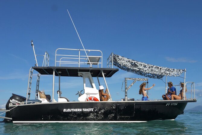 Whale Watching Activity - Two departures during the August to November season