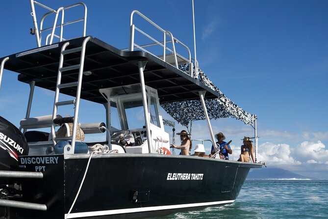 Whale Watching Activity - Is $285.44 a fair price?