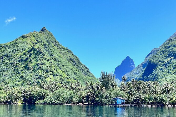 Whale watching DE Tahiti Peninsula - The four-hour search for humpback whales