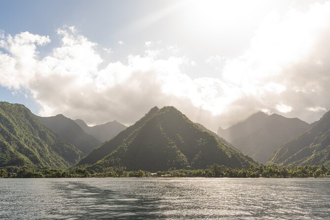 Whale watching DE Tahiti Peninsula - The strongest part: careful wildlife handling