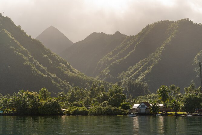 Whale watching DE Tahiti Peninsula - Who should book this experience?