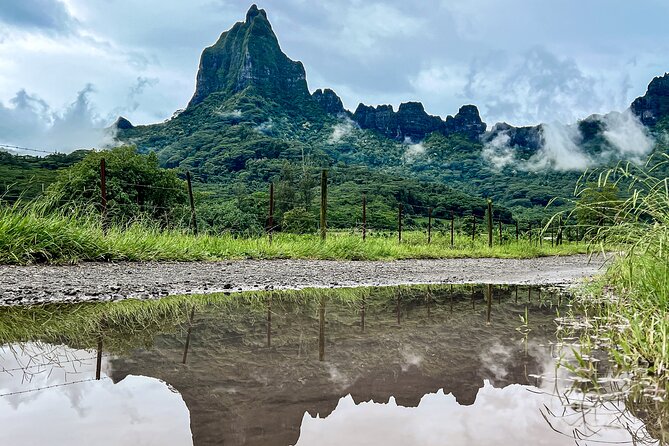 Whale watching in Moorea - Moorea Lagoon brings a calmer second half