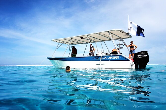 Whale watching on the preserved and quiet coast of Paea (Pk26) - The guides and the tone of the experience