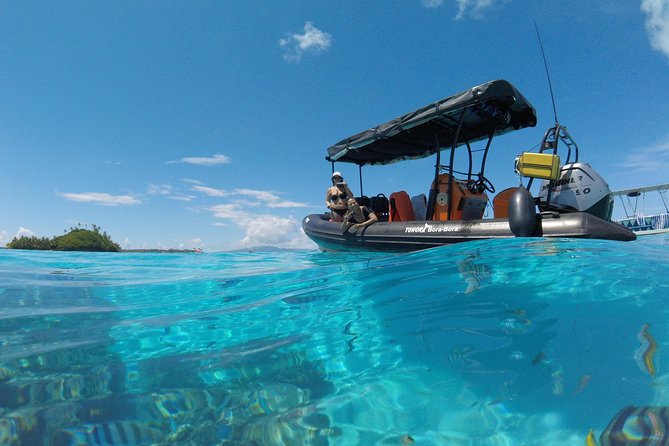 Whale Watching Tours in Bora Bora - Simon’s Approach: Patient, Strict, and Not for Everyone
