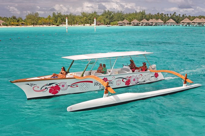 Whale Watching Tours in Bora Bora - Practical Details That Matter Before Booking