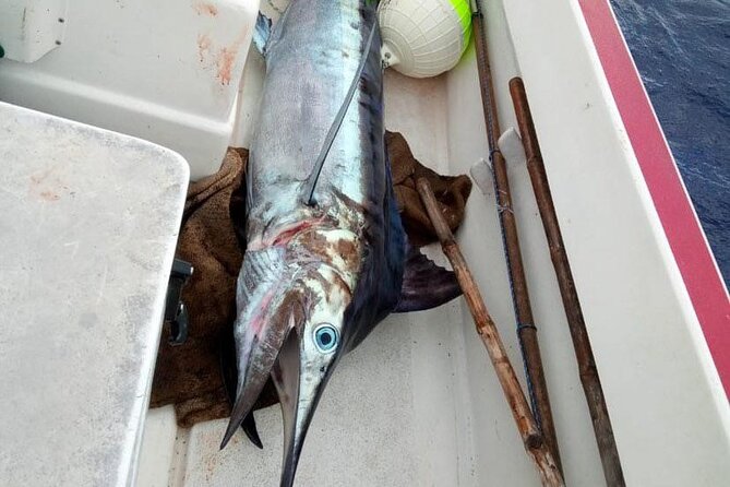 Wholesale Fishing in Poti Marara at Tahiti Teahupoo Peninsula - Captain Yoann and the hands-on approach