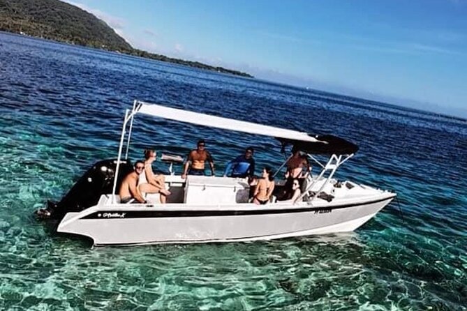 Wholesale Fishing in Poti Marara at Tahiti Teahupoo Peninsula - What happens during the four-hour morning