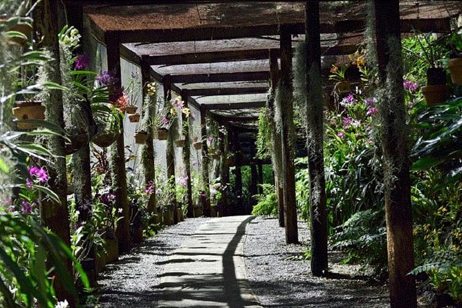 Wonders of Nadi Tour - Hindu Temple, Sleeping Giant Gardens, Markets & Shopping - Walking through the Gardens of the Sleeping Giant
