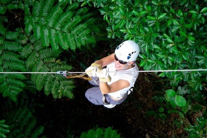 Zip line Fiji ex Fiji Marriot w/private transfer dropoff Nadi Airport or resort - The transfer from the Fiji Marriott to Tau Village